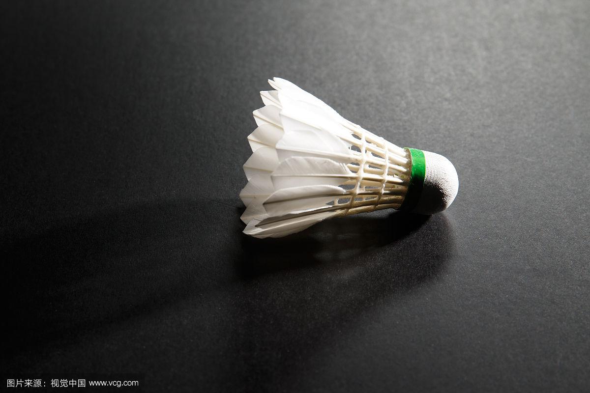 已见根基 已见根基