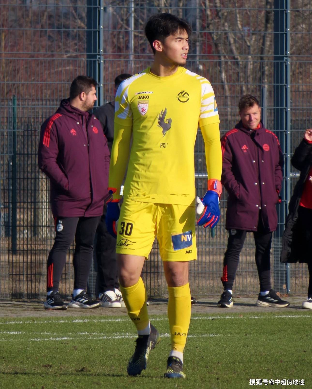 截至近年 截至近年