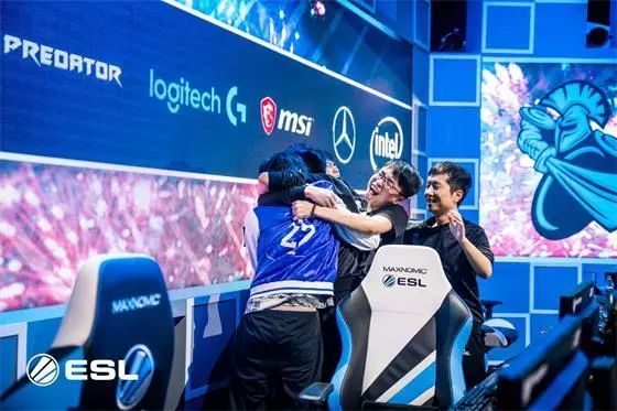 的功能型引 的功能型引