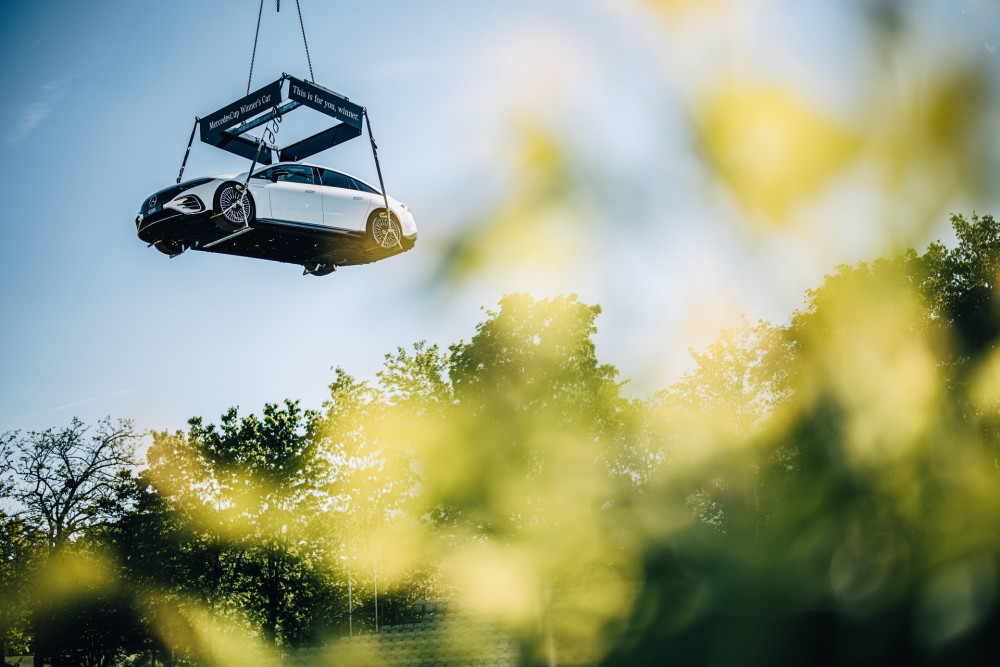 度树起参照 度树起参照
