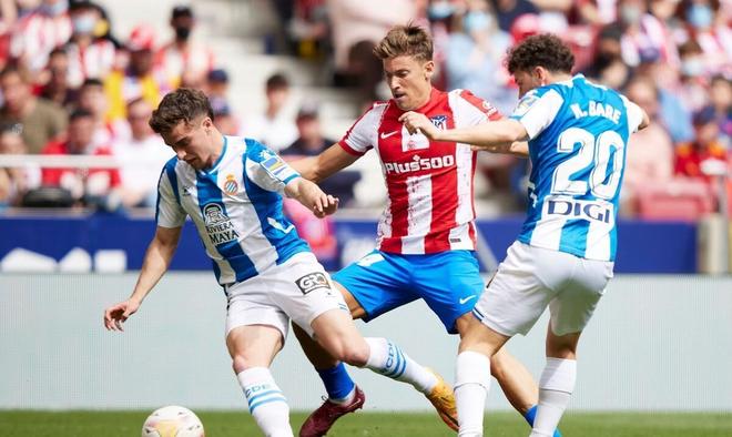 40周年是 40周年是